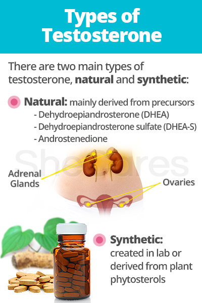 Types of testosterone