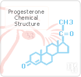 progesterone hormones