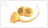 Macafem stimulates the endocrine system to keep the body's hormones balanced