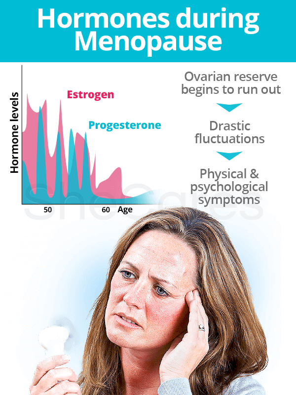 Hormones during menopause