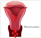 Progesterone is responsable for the onset of menstruation