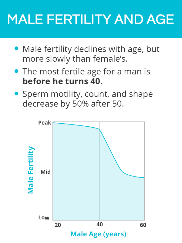 Male fertility and age