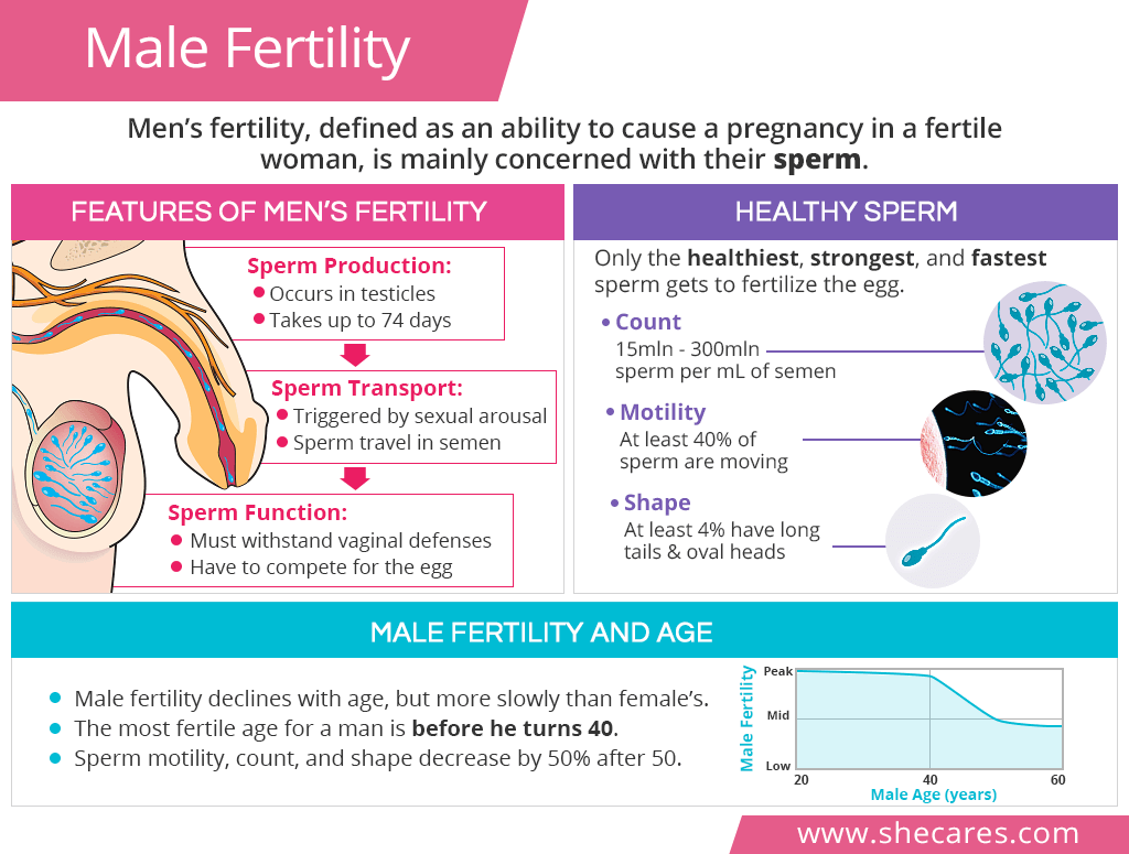 Age And Fertility Chart