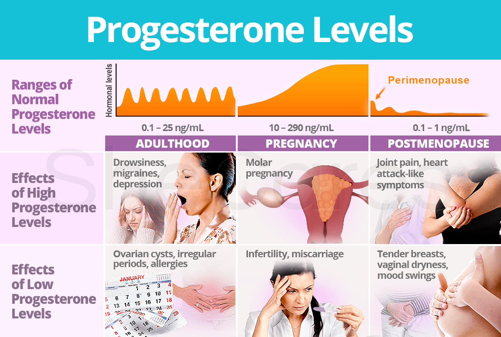 Hormone Levels Chart