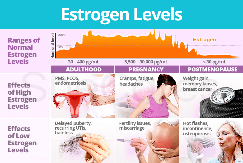 Estrogen Levels