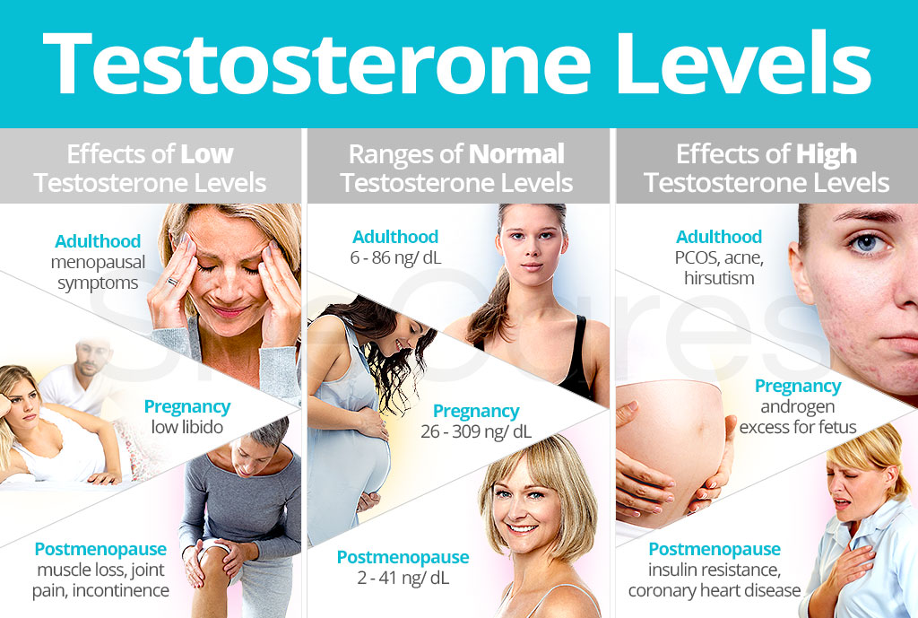 Testosterone Levels SheCares