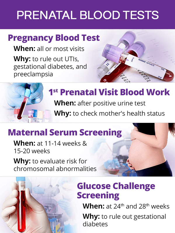 blood tests done first prenatal visit