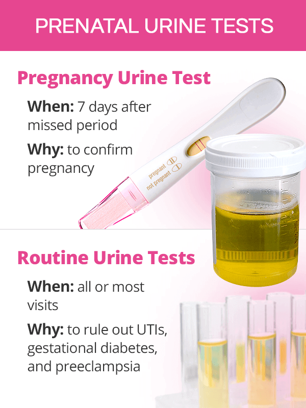 first prenatal visit urine tests