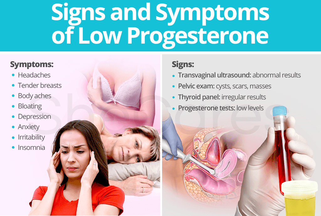 Signs And Symptoms Of Low Progesterone SheCares