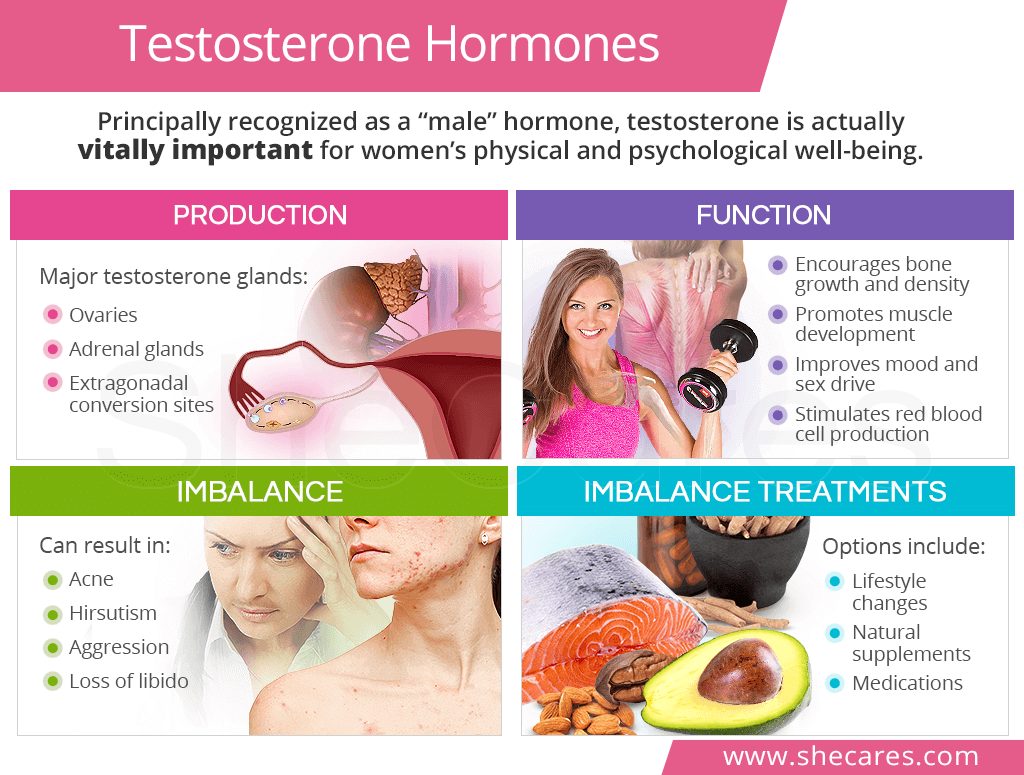 Testosterone Hormones