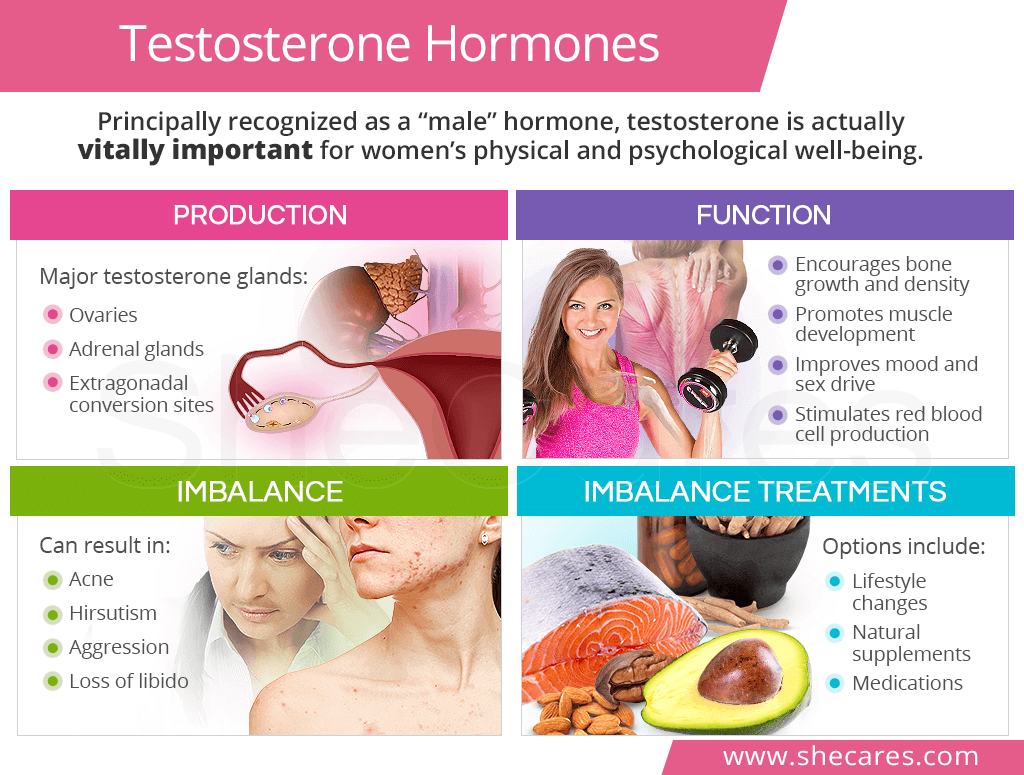 Natural Testosterone Hormones Shecares