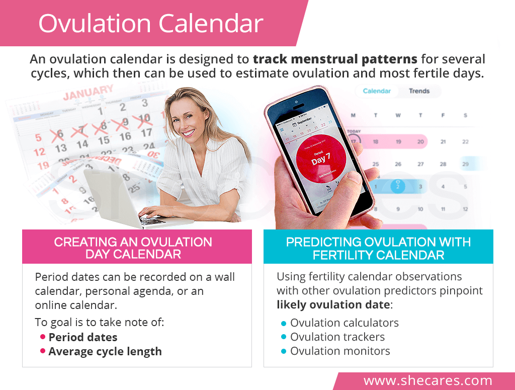 Ovulation Calendar