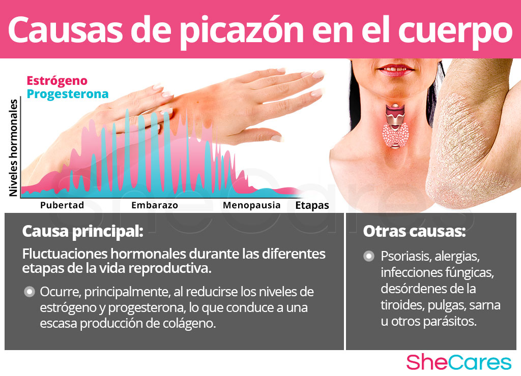 Altos niveles de estrogeno