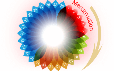 Healthy Menstrual Cycle