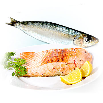 Salmon to get pregnant faster