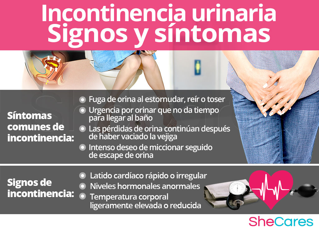 Incontinencia urinaria - Signos y síntomas