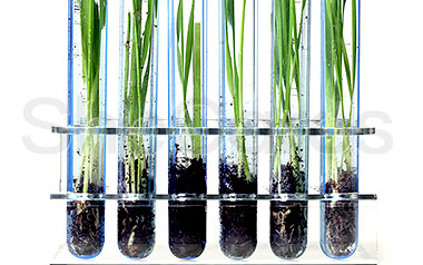 Why Should I Use Bioidentical Hormones?