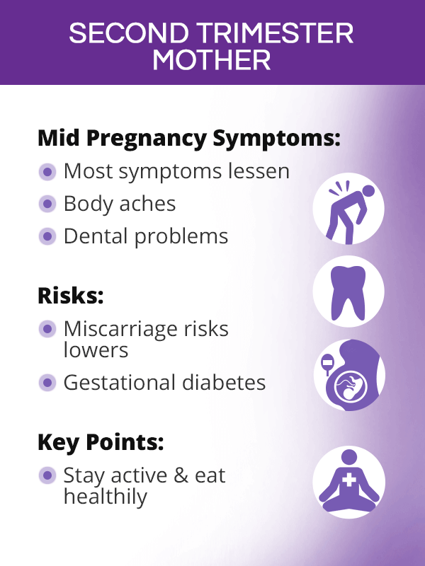 Second trimester mother