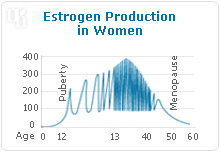 estrogen ovulation