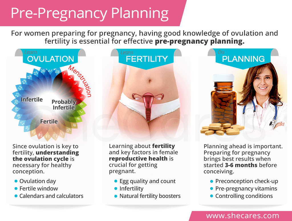 Preparing for Pregnancy