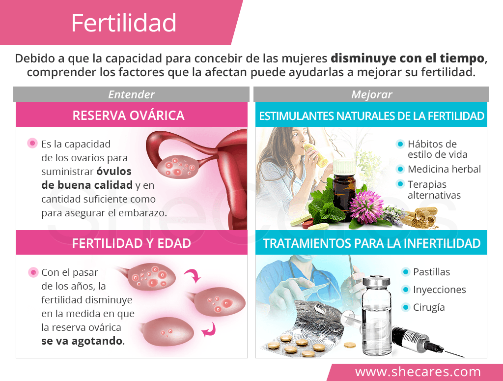 Fertilidad