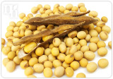 Soy contains estrogen-like substances known as phytoestrogens