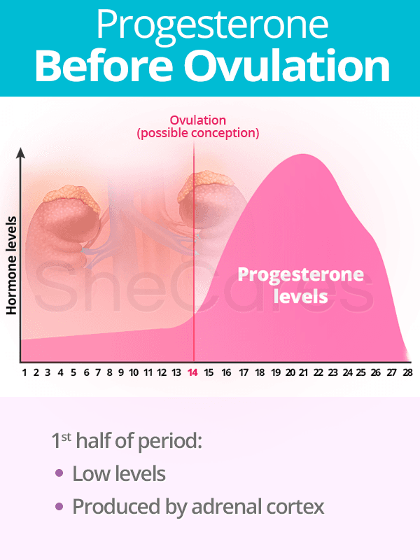 Progesterone Before Ovulation