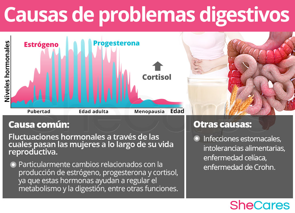 Causas de problemas digestivos