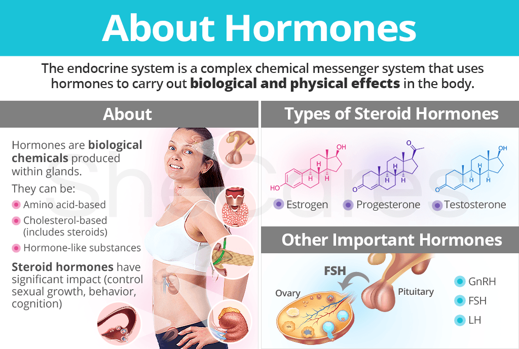 About Hormones