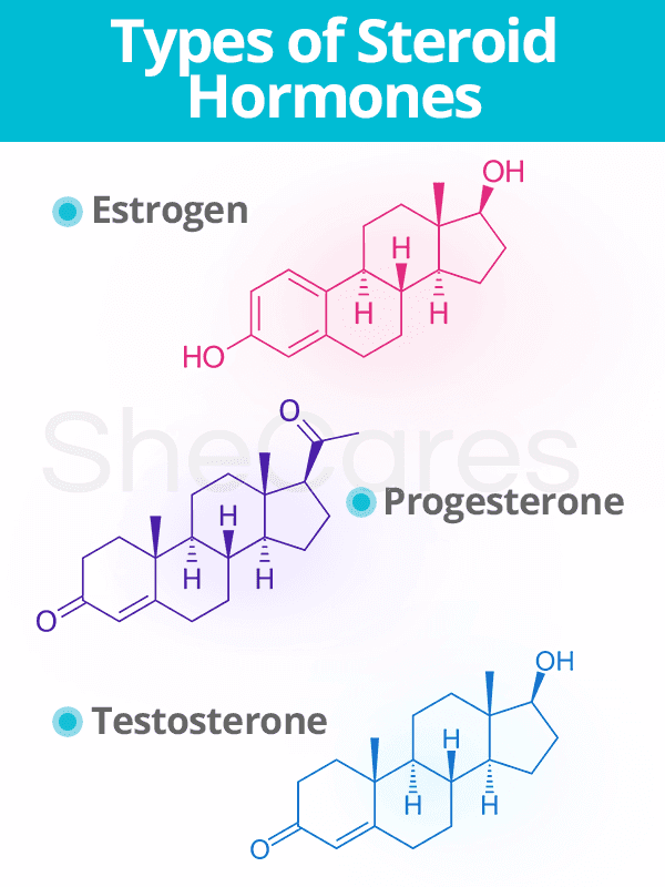Types of steroid hormones